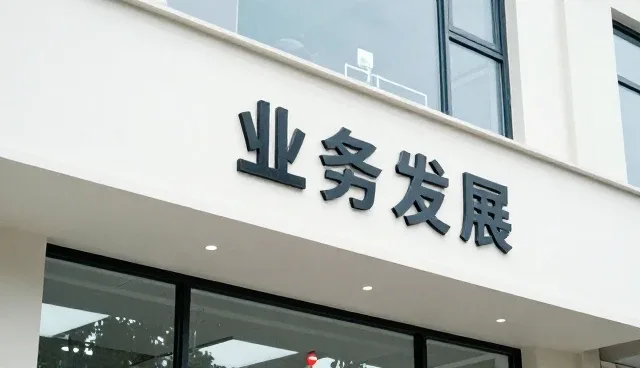 技术转让方案设计中的性能与适用条件分析